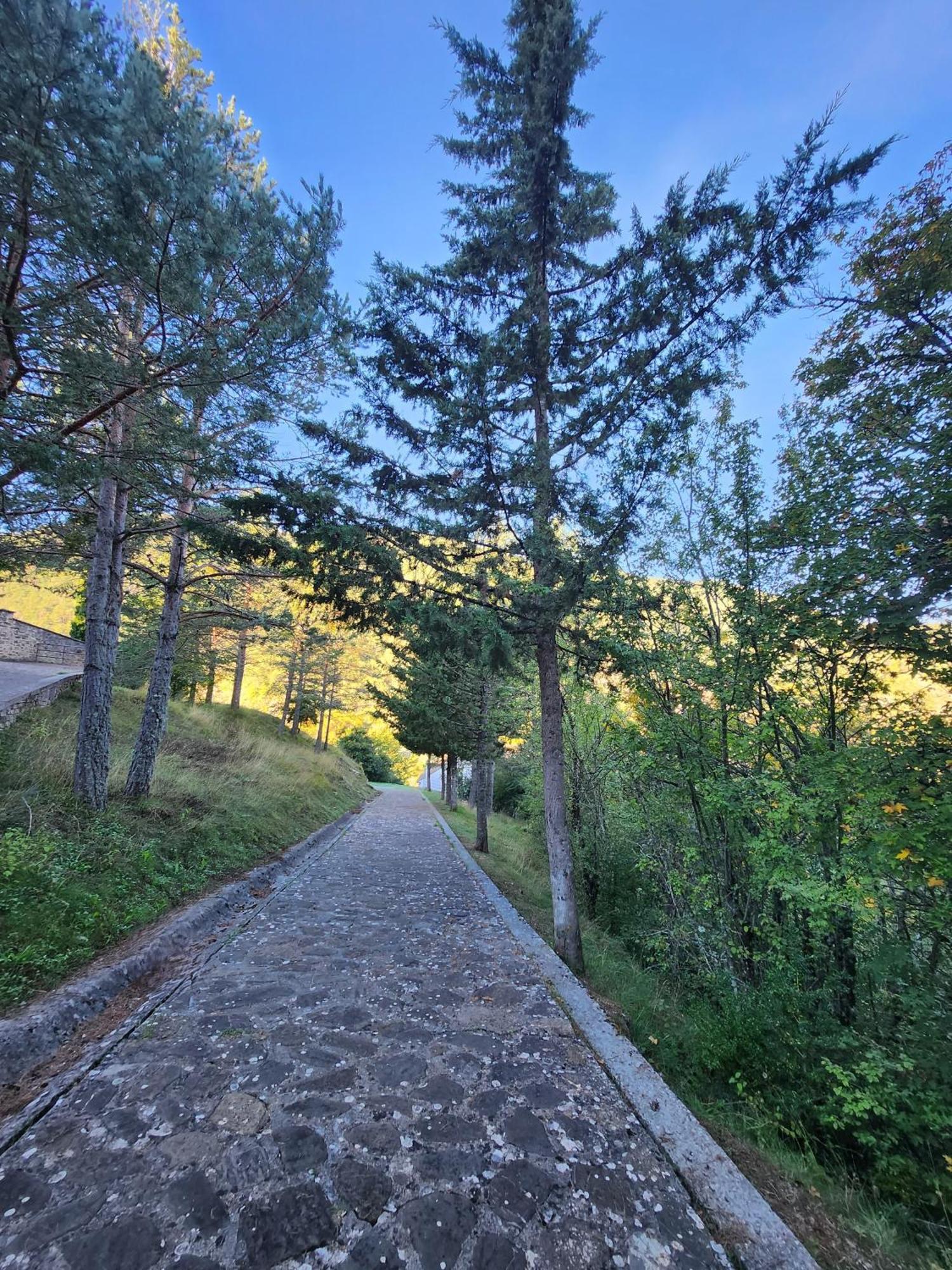 Casa Tadeguaz Guest House Fago Екстериор снимка